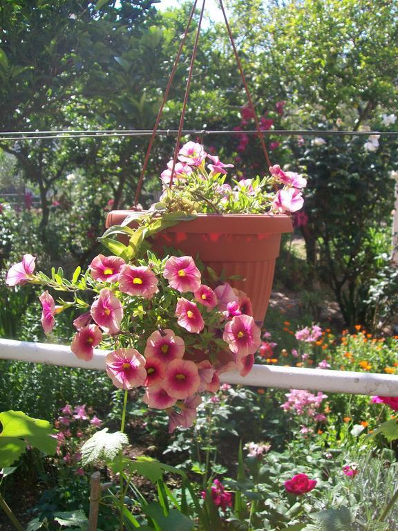 בודווה Apartments And Rooms Lijesevic מראה חיצוני תמונה